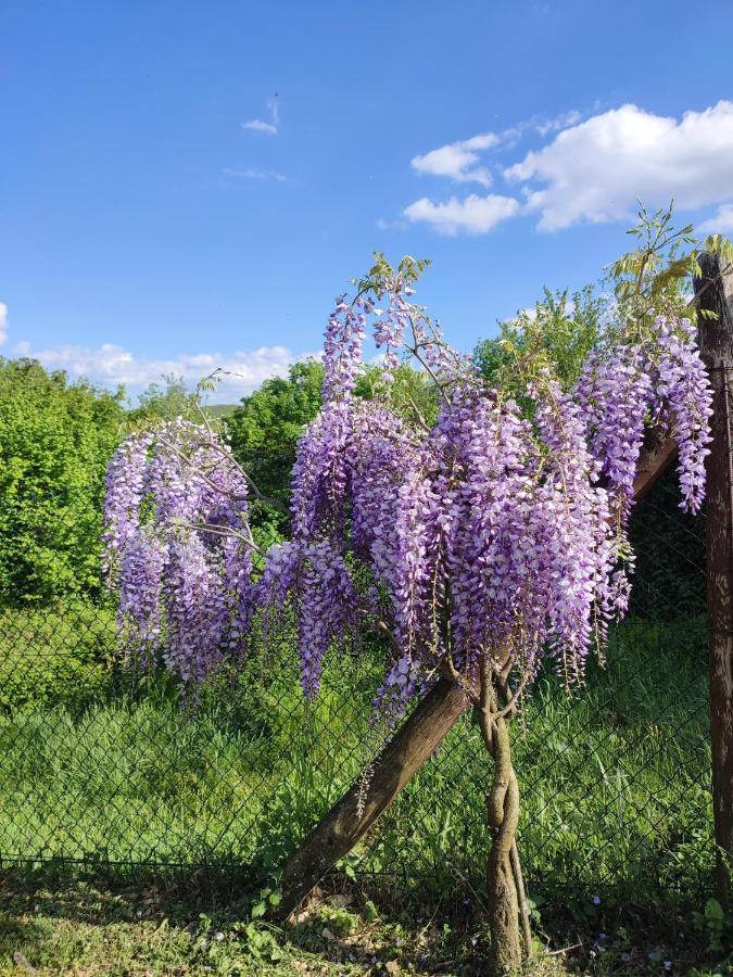 Podere Verdi Colline 波皮 外观 照片